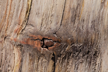 Surface of old textured wooden board for background