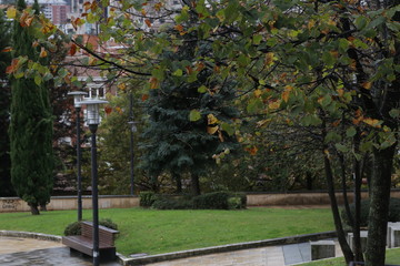 Urban park in an autumn day