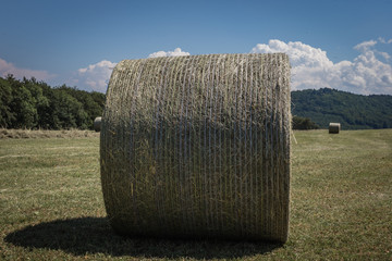 A bale of hay on a German landscape