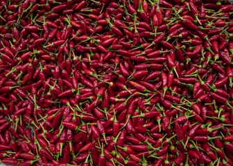 Fototapeta premium Red Spice