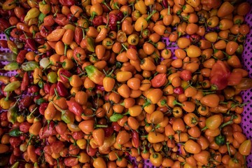 Red Spice