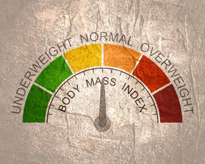 Body mass index meter read normal level result. Color scale with arrow from red to green. The measuring device icon. illustration in flat style. Colorful infographic gauge element