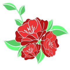  rose flower vector illustration isolated on white background