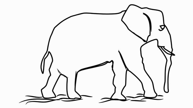 Elephant icon Line Drawing Animation Transparent Background Vector Motion Graphics Loop