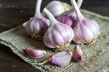 garlic head on wooden background