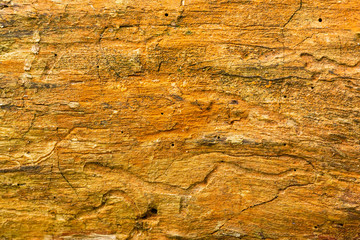 texture of old wood