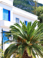 A date palm tree grows near a street lamp against the background of a traditional white Greek house with blue wooden windows and doors on the coast of the Gulf of Corinth in Greece.