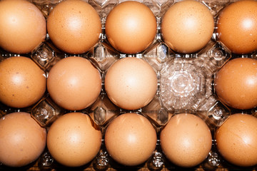 Fourteen brown and one empty space in a transparent plastic box. The image in the background from above. Flat lay horizontally.