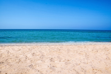 Fototapeta na wymiar Beautiful view of sandy beach and sea on sunny day
