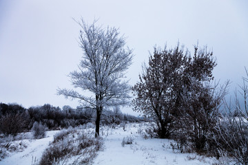 Beautiful winter landscape in russian province. Toned