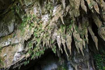 Rock formations in cave