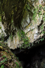 Rock formations in cave