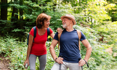 Senior tourist couple with backpacks on a walk in forest in nature.