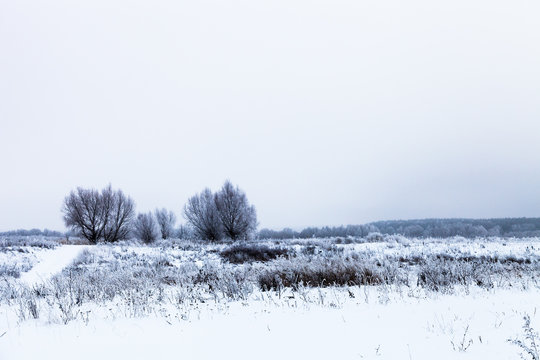 Beautiful winter landscape in russian province. Toned
