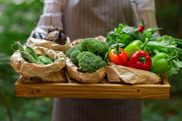 Woman farmer holding fresh and organic products on wooden tray