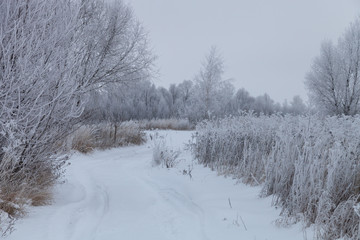 Fototapeta premium Beautiful winter landscape in russian province
