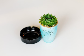 Empty black ceramic ashtray and flower in pot on table