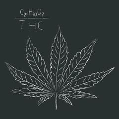The formula of hemp CBD. Structural model of the molecules of cannabidiol and tetrahydrocannabinol. Medicinal cannabis. Medical marijuana, cannabinoids and health. Drawn in chalk on a gray . Vector