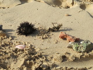 scogli sulla spiaggia