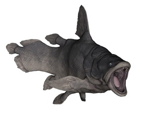 Mawsonia fish in white background - 3D render © Elenarts