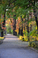 Naklejka premium Beautiful walkway in city park with trees turning autumn colors.