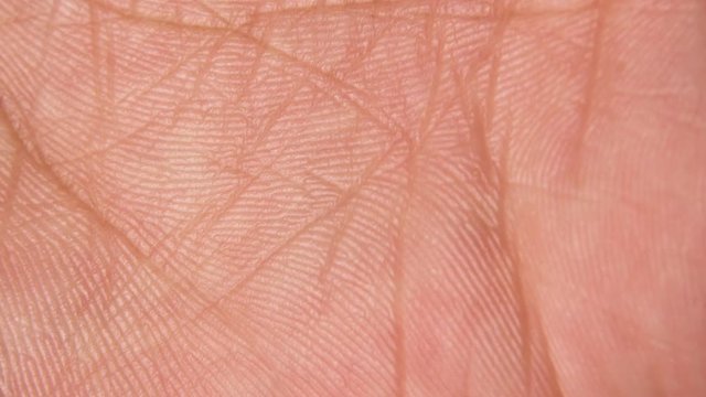 Close up macro shot of the skin surface texture and lines of human hands palms ,  Detailed view of hand palm , Medicine and dermatology concept