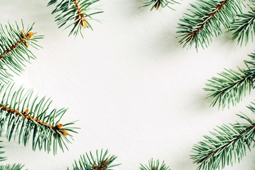 Fir branches on a white background with free space in the center of the composition. Winter layout.