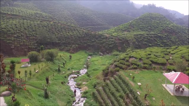 Aerial view of green landscape at tea plantation in high land area known as Cameron Highland in Malaysia.