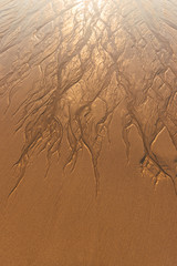 Muster am Strand erstellt durch die Brandung des Meeres - 305475711