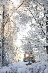 Snow, stairs under the snow, winter nature