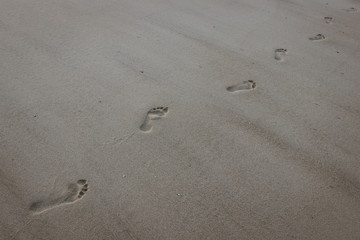 Fototapeta na wymiar Barfuß Spuren im Sand am Strand auf Sylt