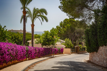 Obraz premium Seaside street. Spain resort. Costa blanca