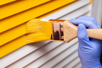 Closeup female hand in purple rubber glove with paintbrush painting natural wooden door with yellow paint. Concept creative design house interior. How to Paint Wooden Surface. Selected focus - obrazy, fototapety, plakaty