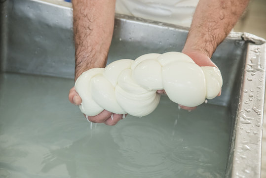 Caseificio con lavorazione mozzarella di bufala