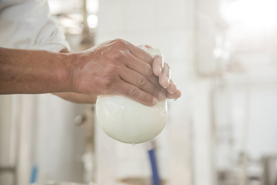 Caseificio con lavorazione mozzarella di bufala