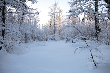 Snow, stairs under the snow, winter nature