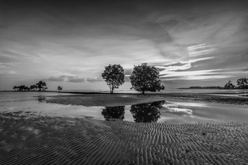 black white photos of bintan beach island indonesia