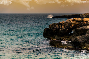 Onde sugli scogli del mare Adriatico Italia