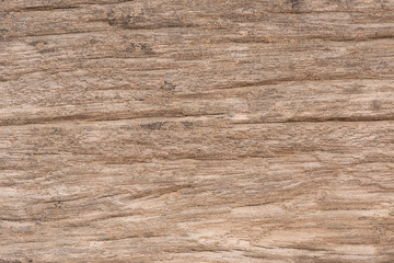 Natural old wood texture background.