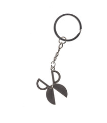 steel scissors, key chain isolated on a white background