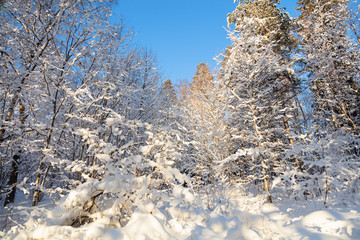 Snow, stairs under the snow, winter nature
