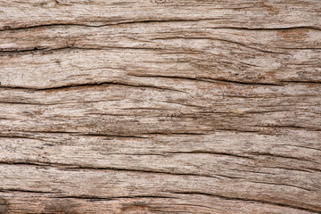Obraz na płótnie Canvas Natural old wood texture background.