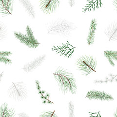 watercolor christmas  pattern , coniferous branches, Winter forest, new year. fir, spruce