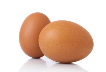 close-up egg chicken isolated on white background