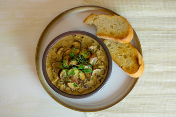 Food photography of a creamy mixed mushroom soup with herbs and toasted bread on a white surface