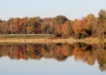 autumn landscape with lake and trees