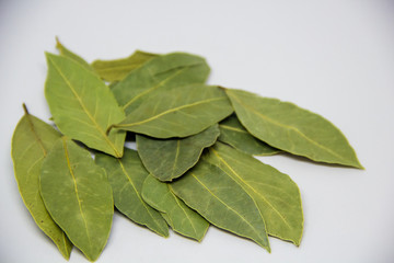 bay leaf on a white background