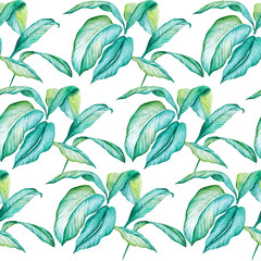 Hand-painted watercolor pattern. Poster with green leaves. Seamless pattern tropic plant. Tropical leaf