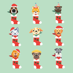 Set of New Year Icon dog. The puppy sits in a Christmas sock..