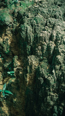 Close up of thick green mossy texture cover the rough stones and on the floor on the rocky ground.